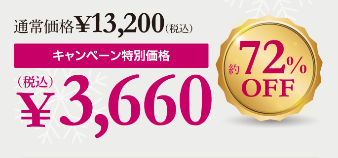 キャンペーン特別価格3,660円