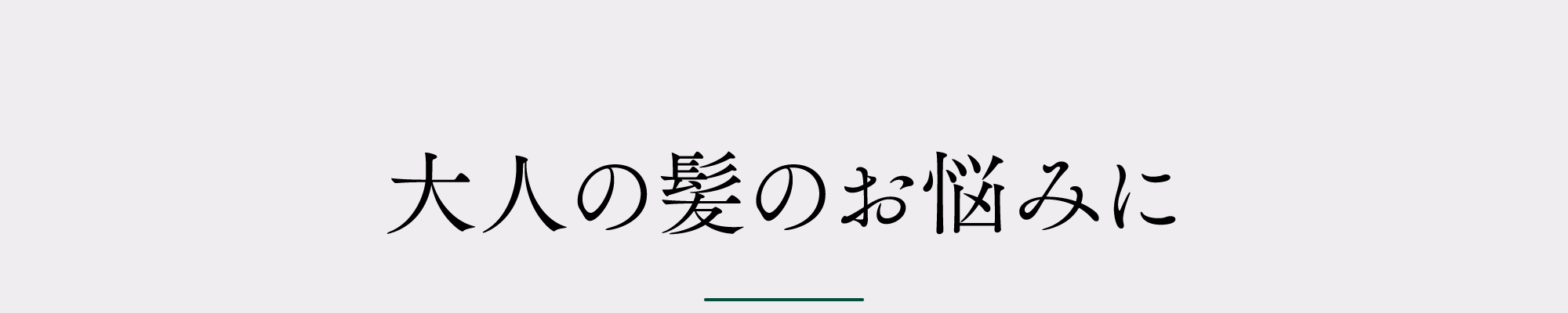 大人の髪のお悩みに