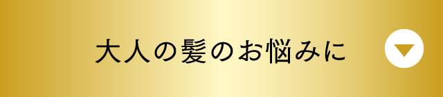 大人の髪のお悩みに