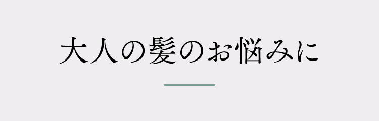 大人の髪のお悩みに