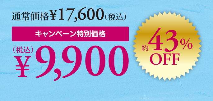 キャンペーン価格約43%OFF 9900円