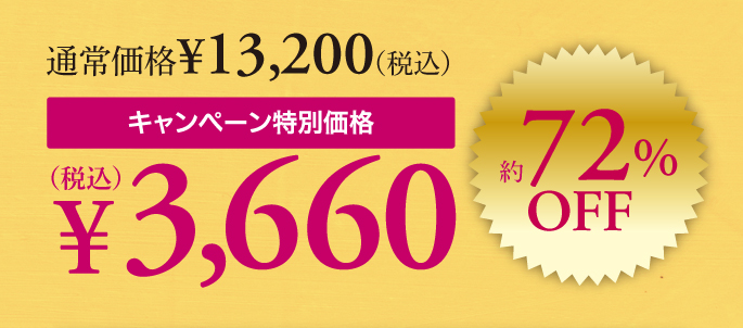 キャンペーン価格約72%OFF3660円
